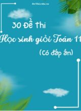 Bộ 30 Đề thi học sinh giỏi Toán Lớp 11 (Có đáp án)